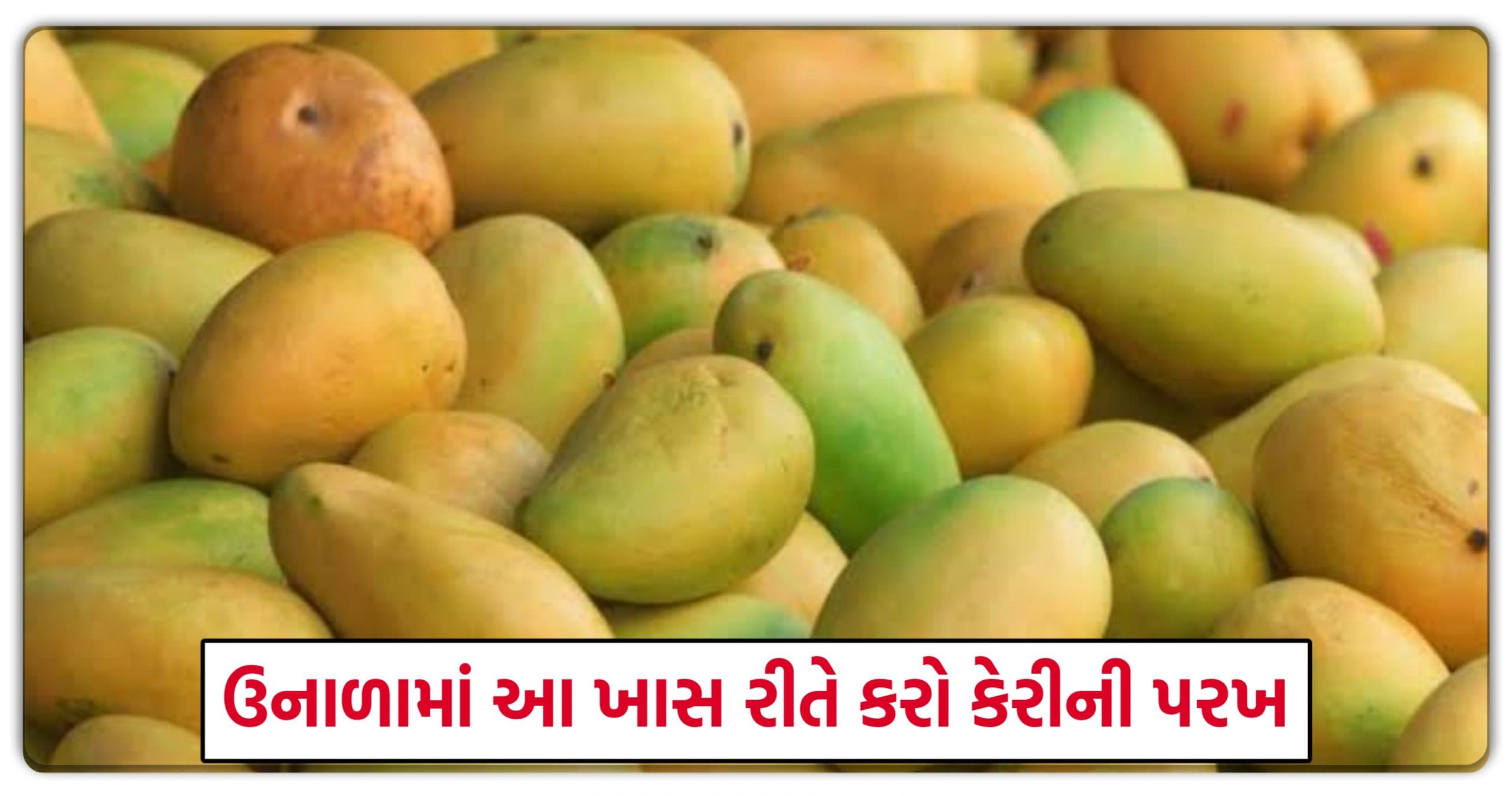 કેરી ખરીદતા પહેલા આ બાબતોનું રાખો ખાસ ધ્યાન, નહીંતર થઇ શકે છે ગંભીર બીમારીઓ.. જાણો