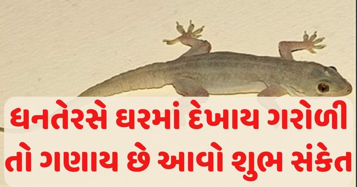 ધનતેરસના દિવસે ઘરમાં ઘુસેલી ગરોળી આપે છે આ ચમત્કારિક સંકેત