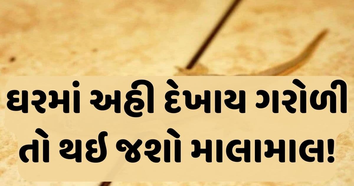 ઘરની આ જગ્યાએ દેખાઈ જશે ગરોળી તો થઇ જાવ ખુશ, માં લક્ષ્મી કરી દે છે માલામાલ!