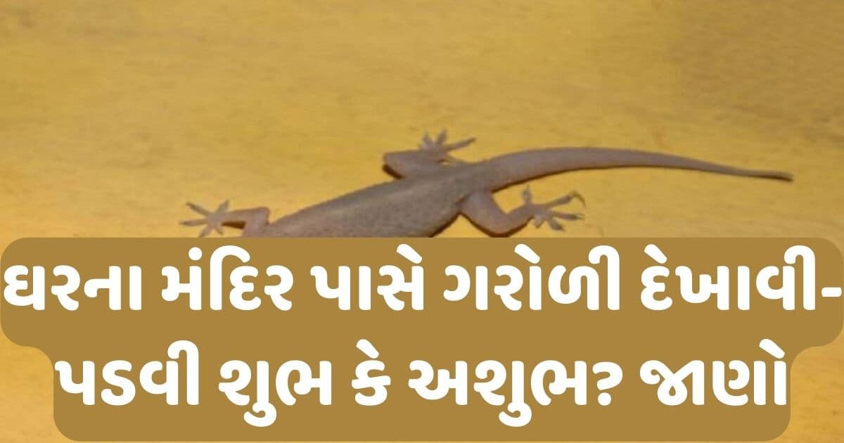 ઘરના મંદિર પાસે ગરોળી દેખાઈ અને પડવી શુભ કે અશુભ? જાણો માન્યતા