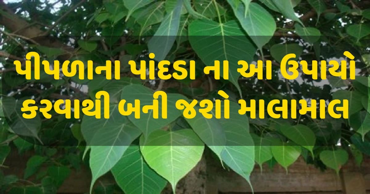 પીપળાના પાંદડા સાથે જોડાયેલ આ ઉપાયો કરવાથી થશે ચમત્કાર, પૈસાની તંગી થશે દુર