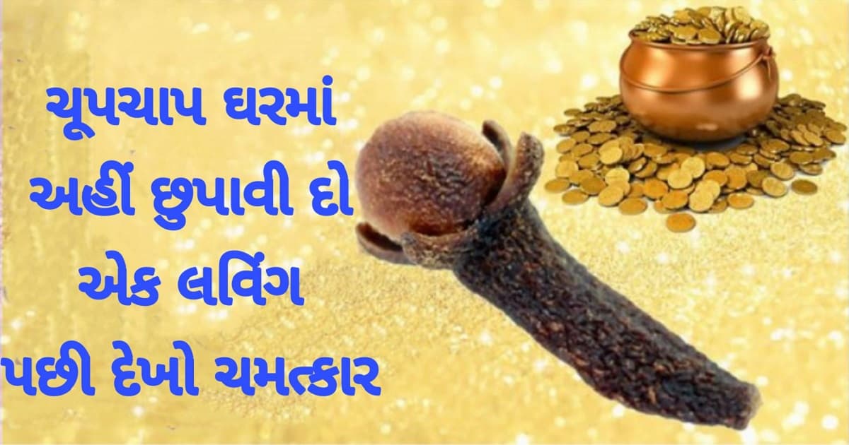 ચુપચાપ ઘરમાં આ જગ્યા પર મૂકી દો લવિંગ, સાત પેઢી સુધી ઘરમાં વહેશે પૈસાની નદીઓ..